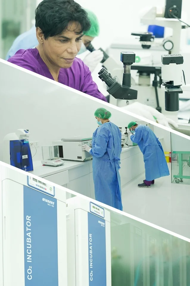 stem-cell-treatment